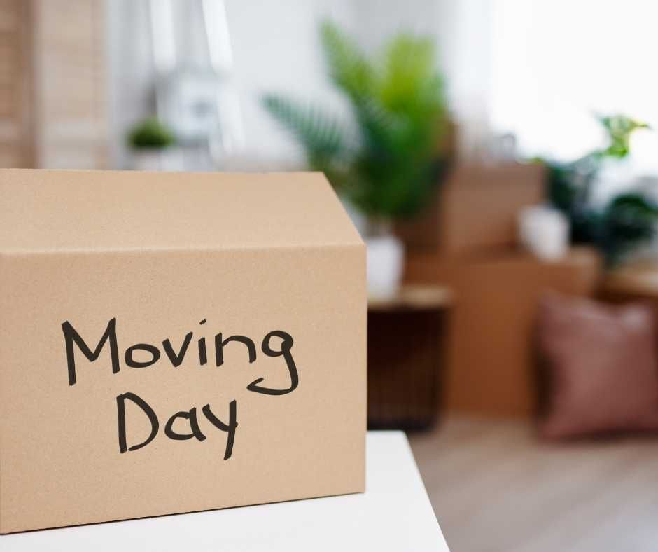 Understanding the Basics of Moving Insurance